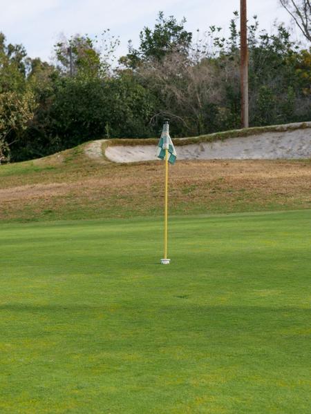 Signed Pin Flag